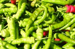  Piments longs doux ou piquants