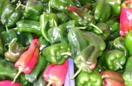 Poivrons verts, rouges ou jaunes 