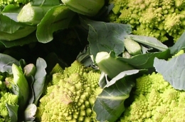  Chou Romanesco