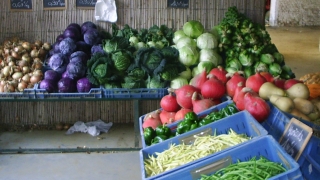 Légumes du moment