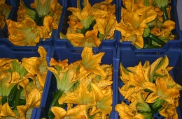  Fleurs de courgettes