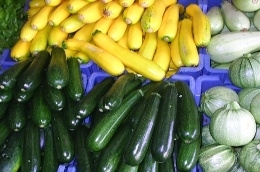  Courgettes vertes , jaines, blanches, rondes ...