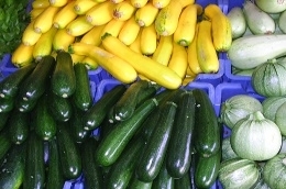  Courgettes vertes, jaunes et rondes